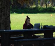 peaceful study on school grounds
